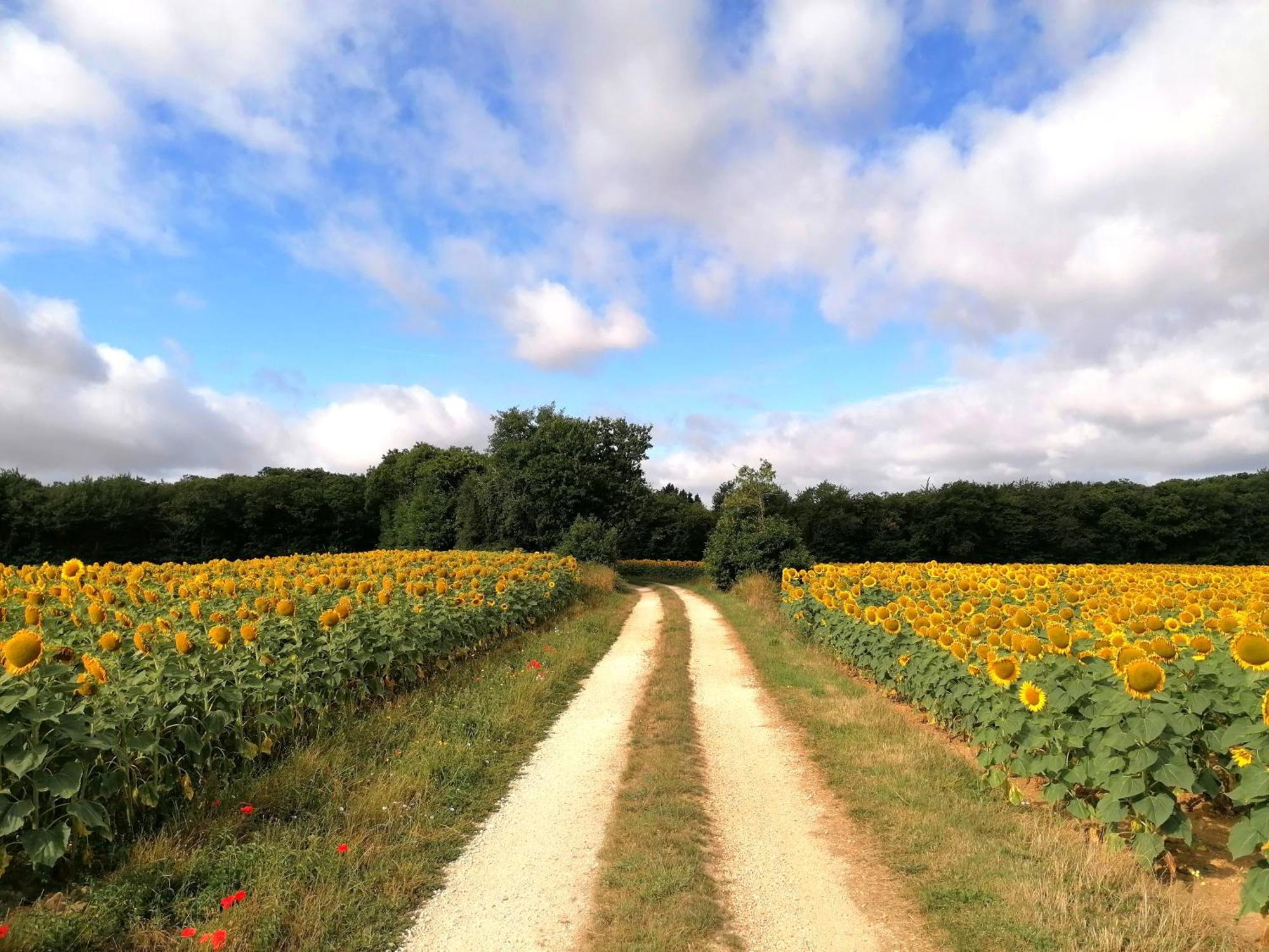 Le Verger Du Paradis * Beaulieu-sur-Sonnette